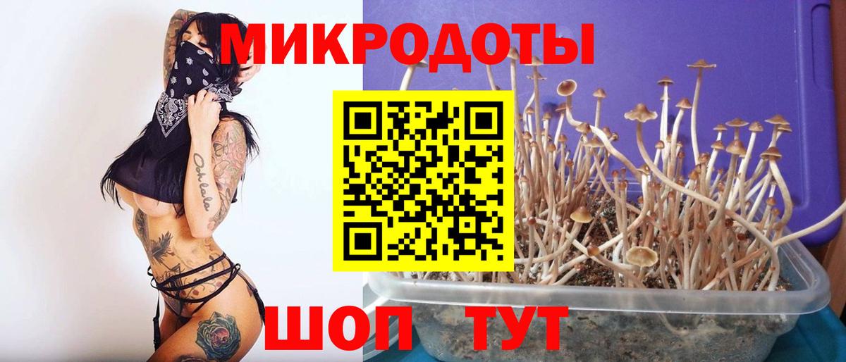 Псилоцибиновые грибы MAGIC MUSHROOMS  Вход с VPN  Галлюциногенные грибы MAGIC MUSHROOMS  Владимир 